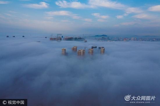 红糖发糕的做法?知识星球平台-专注知识分享与交流